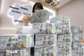 附图 图自越通社