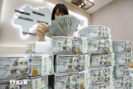 附图 图自越通社