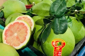 澳大利亚相信越南有能力满足生物安全标准，为柚子产业带来了巨大的机遇。图自： Vietnam+