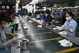 附图 图自越通社