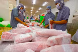 富安省伯海公司用于出口的金枪鱼产品。图自越通社