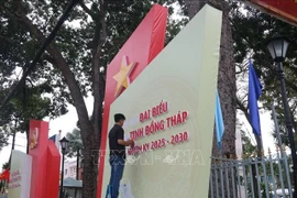 同塔省各条街道张灯结彩，标语飘扬迎接省第一次党代会。图自越通社