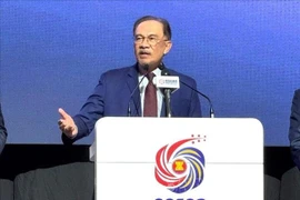 马来西亚总理安瓦尔·易卜拉欣。图自越通社
