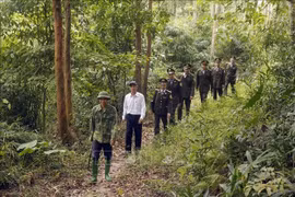省林政局与立石县林政处和当地人民开展巡山护林工作。图自越通社