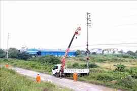 海阳省电力公司为电线杆系统安装防雷设备。图自越通社