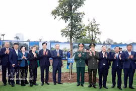 越共中央总书记苏林出席“世世代代铭记胡志明主席功勋”植树节启动仪式。图自越通社