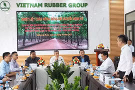 4月25日，越南驻柬埔寨王国大使阮明宇与越南橡胶工业集团（VRG）部分橡胶企业举行工作会谈。图自越通社