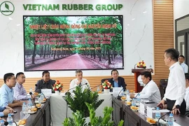 4月25日，越南驻柬埔寨王国大使阮明宇与越南橡胶工业集团（VRG）部分橡胶企业举行工作会谈。图自越通社