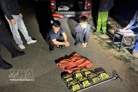 3月23日20时45分，警方抓获两名居住在广治省松门乡的嫌疑人，包括：胡玉煌（生于2003年）和杨红玉（生于2003年）。图自越通社