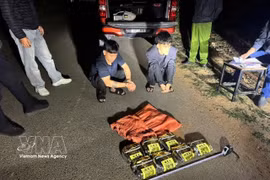 3月23日20时45分，警方抓获两名居住在广治省松门乡的嫌疑人，包括：胡玉煌（生于2003年）和杨红玉（生于2003年）。图自越通社