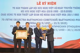 杜文战代表党和国家领导人向越俄友好协会颁发政府总理奖状。图自越通社