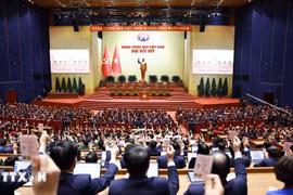 各位代表表决通过越共十四大决议。图自越通社