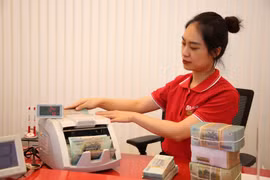 当前信贷结构与经济结构协调匹配，有效满足民生与企业需求。图自越通社
