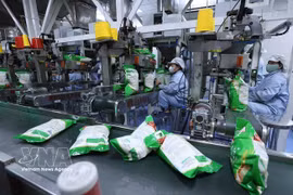 截至2026年3月中旬，越南大米出口量约达174万吨，同比增长2.3%。图自越通社