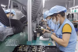 在位于北江省云中工业园的英国Telstar （越南）公司电子设备生产线。图自越通社