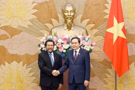 越南国会主席陈青敏与印度尼西亚地方代表理事会副主席。图自越通社