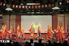  顺化宫廷雅乐表演。图自越通社