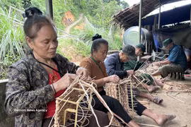 在安那乡，编织水葫芦的可持续生计模式有助于改善山区居民的生活。图自越通社