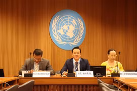 越南常驻日内瓦代表团团长梅潘勇大使（中）在讨论环节上发言。图自越通社