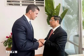 2024年11月，赴巴西里约热内卢出席二十国集团领导人峰会的越南政府总理范明政会见了巴拉圭总统圣地亚哥·培尼亚。图自越通社