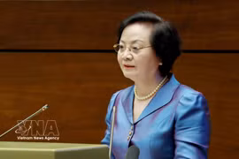 越共中央书记处书记、政府副总理范氏清茶代表政府党组作题为《三级政府模式运行一周年成果评估及继续创新治理方式、提升国家行政管理效能》的专题报告。图自越通社