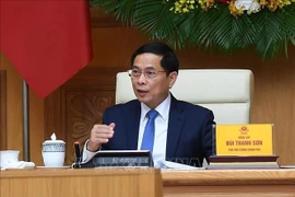 越南政府副总理裴青山会见全球越南科学家和专家协会代表。图自越通社