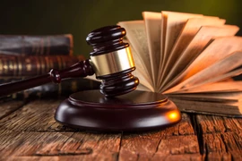 附图 图自《政府报》