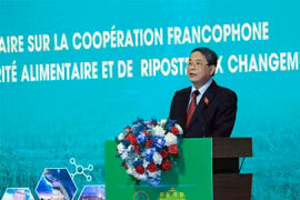 越南国会副主席、法语国家议会大会（APF）委员会会议组委会主任阮德海致会议闭幕词。图自越通社