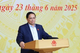 越南政府总理范明政在会议上发言。图自越通社