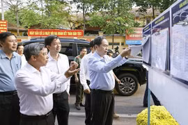 陈青敏在芹苴市宁桥坊检查国会代表及各级人民议会代表选举前期准备工作。图自越通社
