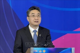 中国—东盟中心秘书长史忠俊。图自越通社