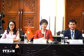 以越通社社长武越庄（中）为团长的越通社代表团参加在马来西亚吉隆坡举行的OANA执行委员会第54次会议。图自越通社