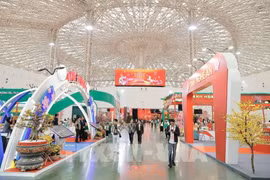 2026年首届春季博览会不仅是一场贸易促进活动，更是越南农业与手工艺村在转型进程中的缩影。图自越通社