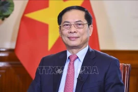 越南政府副总理兼外交部长裴青山。图自越通社