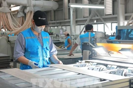 位于广安东梅工业园的Lioncore Vietnam Industrial公司的生产厂。图自越通社