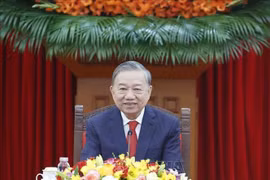 越共中央总书记苏林同中共中央总书记、国家主席习近平通电话 。图自越通社