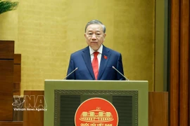 越共中央总书记、国家主席苏林发表就职演说。图自越通社