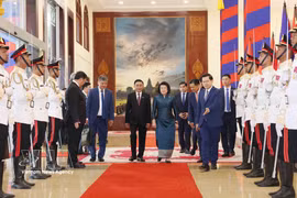 柬埔寨国会主席昆索达莉主持仪式，欢迎陈锦秀访柬。图自越通社