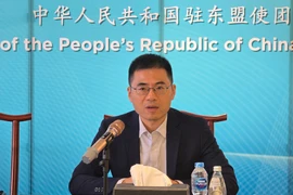 中国驻东盟使团团长王擎。图自越通社