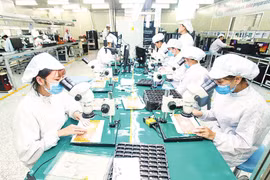 兴安省4P有限公司工厂的电子电路板生产线。图自《人民报》
