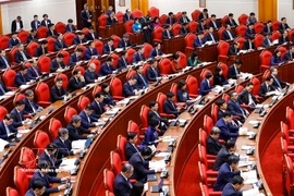 出席越共十四届二中全会开幕会的代表。图自越通社