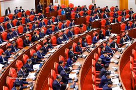 出席越共十四届二中全会开幕会的代表。图自越通社