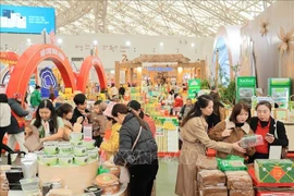 2026年春季博览会：春节期间丰富多彩、方便快捷的购物天堂。图自越通社