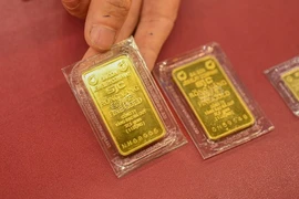 附图。图自越通社