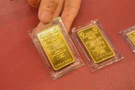 附图。图自越通社