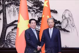 越南国家主席梁强与中国全国人大常委会委员长赵乐际。图自越通社
