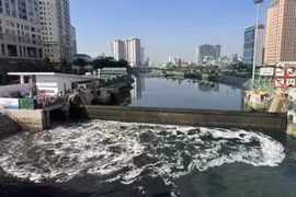 防潮闸的作用是防潮、排水，减少减少城市内涝。图自互联网