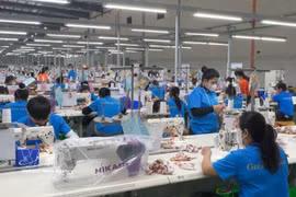 位于广义省静峰越南-新加坡工业园区（VSIP）的Great Honor国际有限责任公司。图自越通社