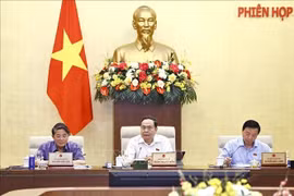 越南国会主席陈青敏出席会议。图自越通社