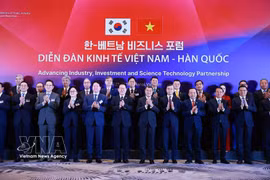 越南政府总理黎明兴与韩国总统李在明共同出席越韩经济合作圆桌座谈会 。图自越通社 